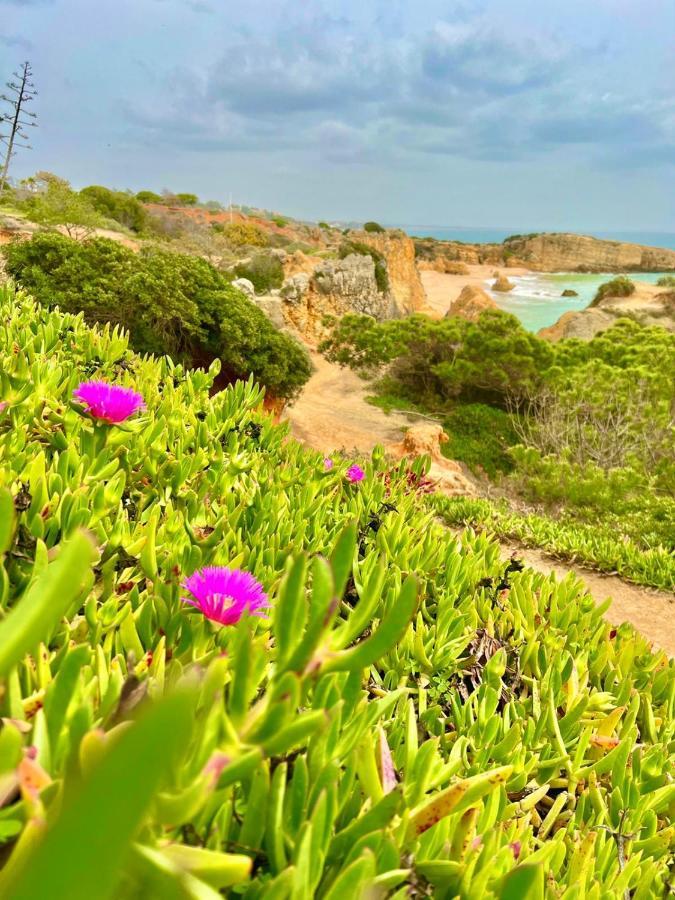 Marina Zen Apartment - Orada, Albufeira Bagian luar foto